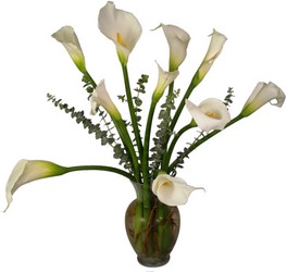 Enchanting Callas from Bolin-Reeves, your Birmingham, AL florist
