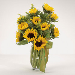 Sunflowers from Bolin-Reeves, your Birmingham, AL florist